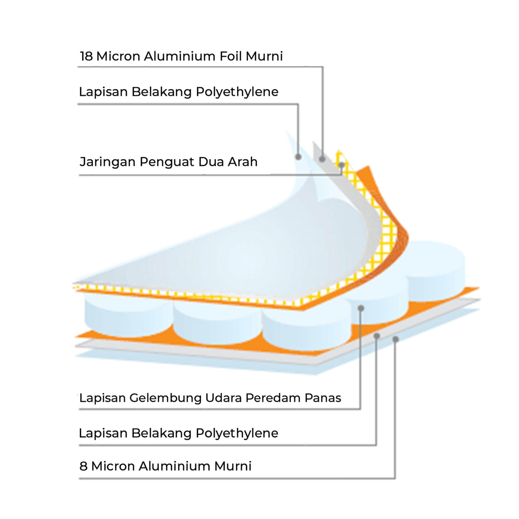 Polynum Super NET FR